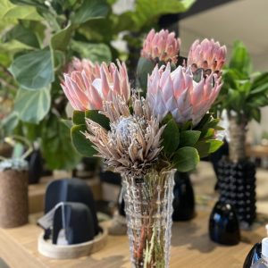 PROTEA DELUXE
